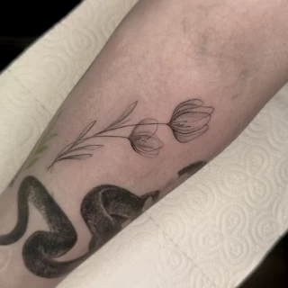 Stella - artiste résidente - Black Hat Dublin - microrealism - The Black Hat Tattoo